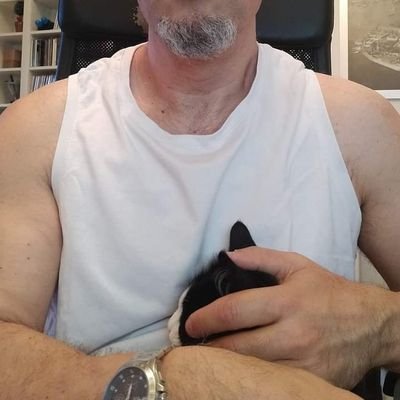 jani66x's profile picture. Translator / Subtitler / Gattaro