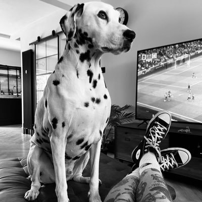 AlecSteer's profile picture. 