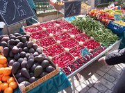 OliviaC's profile picture. Hi my name is Olivia Crinion science communicator & former presenter of  Good for You the health & well-being slot on 103.2 Dublin City FM every Tuesday @11:00