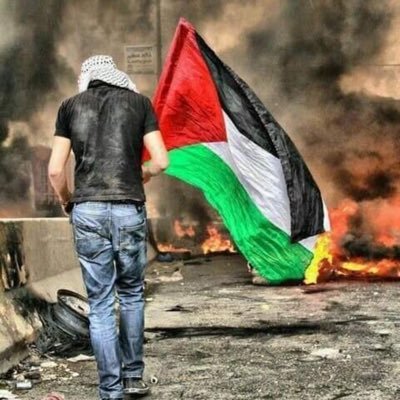 ليس للعابرين في تاريخنا وزن يُحسبْ، فمدينة #غزة حجمها نصف الكوكب 🇵🇸 🇵🇸🫡💚
