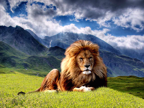 chente2782's profile picture. Web3