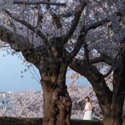 _Chiaki_110's profile picture. 写真撮ってます ここは懸賞垢になりつつある🥺