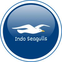 Indonesian Seagulls (@indoseagulls) 's Twitter Profile