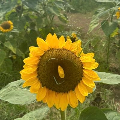 baymaxtomsw's profile picture. 24卒 msw2年目になりましたが休職中