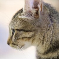 Emmy (@embal14) 's Twitter Profile Photo