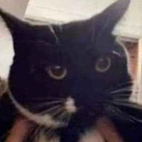 GoodOlExCanadian (@goodoldcanadian) 's Twitter Profile