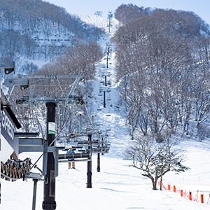 j1PGQ7TyCY93542's profile picture. ただの索道好きです
無言フォロー失礼します