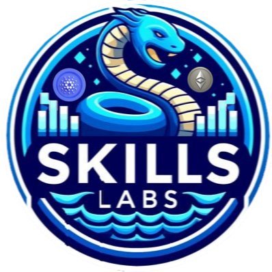SkillsLabsNews's profile picture. SLOW COOKING ON #CARDANO