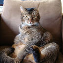 Dick Bakker - @janhosmus - Twitter