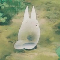 Coty Markeshia (@cotymarkes63742) 's Twitter Profile