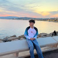 Vic Giurgiu (@piticvic) 's Twitter Profile