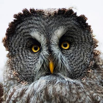 Former banker, 15 yrs experience Fx and Gold trader.
I trade mentor and teach even SIGNAL PROVIDERS.
Mission: Make you £40K / Month, risk 1% and sleep at night.
