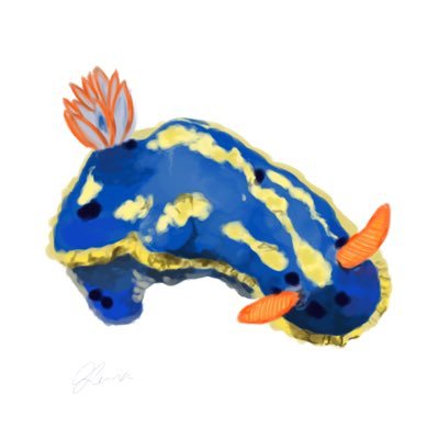 toritonia_79's profile picture. 絵柄の探求中…ビビットカラーを愛するウミウシ。   ご依頼はDMまで。