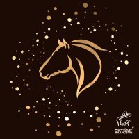 البيان في تاريخ قحطان (@albyan_qh) Twitter profile photo
