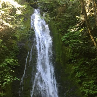 needAcane's profile picture. Christian conservative trying to understand Oregon