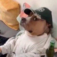 Wouldo (@wouldo__) 's Twitter Profile