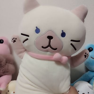 チョコミントさんのプロフィール画像