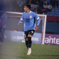 Felipe Carballo (@felicarballo20) 's Twitter Profile