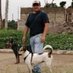 Polo Tavares (@pcampoll) Twitter profile photo Polo Tavares (@pcampoll) Twitter profile photo