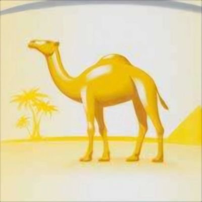 camelofm's profile picture. CEO de © CLEOPATRE AGENCY | @cleopatreagency | OFM I.A | Je parle l'Euro, le Dollar et le Livre Sterling 🌍 | L'homme le plus calme du monde.