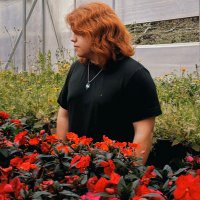 Daniel (@daniel8bit) 's Twitter Profile
