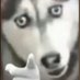 LoneWolf : เล่นเป็นแต่ Sentinel (@dragfallenz) Twitter profile photo LoneWolf : เล่นเป็นแต่ Sentinel (@dragfallenz) Twitter profile photo