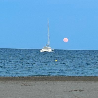 mel94210's profile picture. Language teacher and trainer. Fledgling writer and lover of the sea, books, travel, food and family.