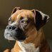 Queen Ruby Mae (@brianmc_arch) Twitter profile photo Queen Ruby Mae (@brianmc_arch) Twitter profile photo