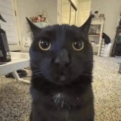 DominikSzczerb4's profile picture. 