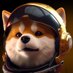 Ave Dogs (@casarinay) Twitter profile photo Ave Dogs (@casarinay) Twitter profile photo