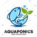 RAJESHWAR SINGH(RAJ AQUACULTURE) (@raquaculcture) Twitter profile photo RAJESHWAR SINGH(RAJ AQUACULTURE) (@raquaculcture) Twitter profile photo