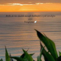 Kübra 🌵 (@kbrabzk1) 's Twitter Profile Photo