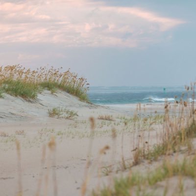 ncdcr's profile picture. 