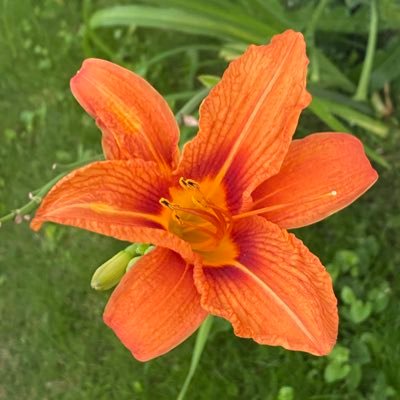 SaskRepublic1's profile picture. Retired Veteran, VP, Conservative, take no crap, work hard play harder, take down Wild Boar. Saskatchewan best province.