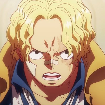 Zoro fan/Sabo fan HunterxHunter Stan bleach /Naruto/OnePiece/Berserk enjoyer #DubNation