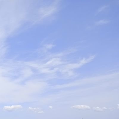 ほぼ見る専用です。成人済み(20↑)です。
あまり呟いたりはしませんが、無言いいね&フォローとブクマはめっちゃします。
よろしくお願いします。