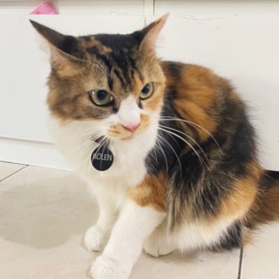 karisaaliya's profile picture. ♈️