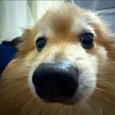 LucaFerrari0717's profile picture. 