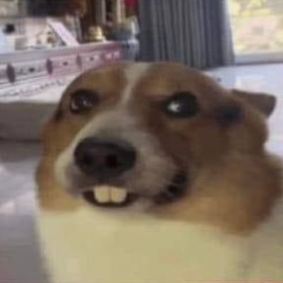 hellareth's profile picture. amateur historian, eng by trade and cockroach