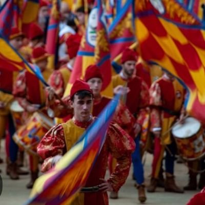 TizianoFrances6's profile picture. si bio