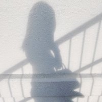 Linda Greene (@lindagreen72285) 's Twitter Profile