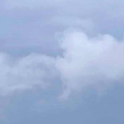 いつきさんのプロフィール画像