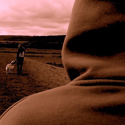 StalkinginfoUK's profile picture. Information and news about the crime of #stalking. 

#stalkingawareness #ISAC #harassment #VAWG #criminaljustice #advocacy #stalker #babyreindeer #stalking