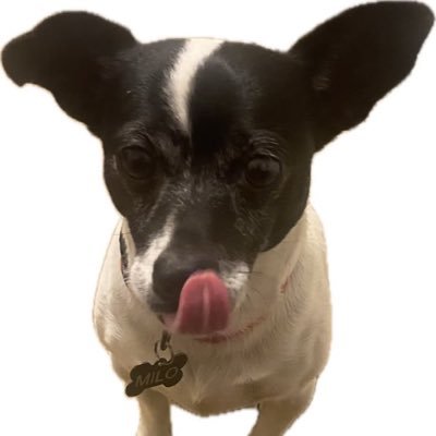 ChefSquid_'s profile picture. i fw nascar and mlb heavy