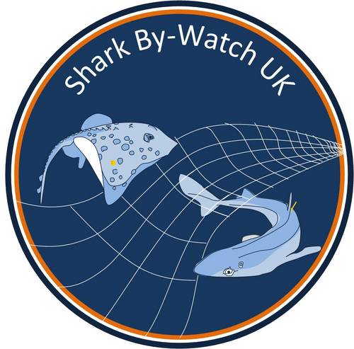 Sharkbywatchuk's profile picture. The fisher-led elasmobranch research project Shark By-Watch UK is now in its second phase, examining shark, skate & rays discards in UK fisheries.