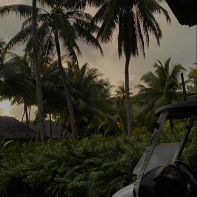 Stilthy2's profile picture. 