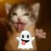 Who am i? (@arandomwins) Twitter profile photo Who am i? (@arandomwins) Twitter profile photo
