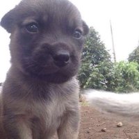 off (@jashingodd) 's Twitter Profile