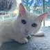 LilWhiteCat ๐บ๐ธ๐ด๓ ง๓ ข๓ ณ๓ ฃ๓ ด๓ ฟ๐ฎ๐ช๐ฉ๐ช๐ฆ (@ladema_dagnan) Twitter profile photo LilWhiteCat ๐บ๐ธ๐ด๓ ง๓ ข๓ ณ๓ ฃ๓ ด๓ ฟ๐ฎ๐ช๐ฉ๐ช๐ฆ (@ladema_dagnan) Twitter profile photo