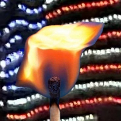 RR33C3R's profile picture. MAGA